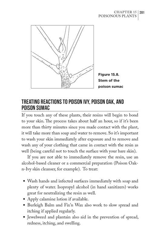 Simon & Schuster - Bushcraft First Aid by Dave Canterbury