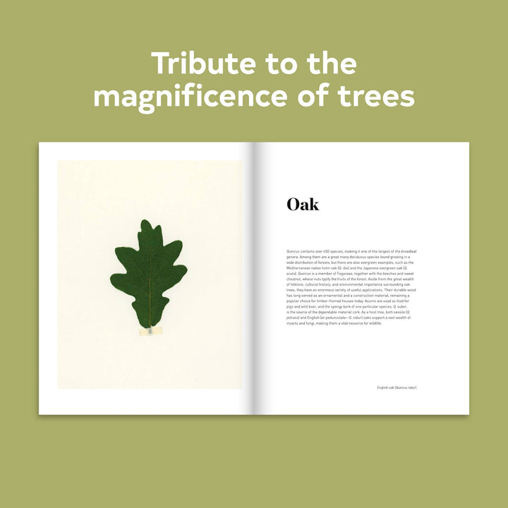 Chronicle Books - Forest