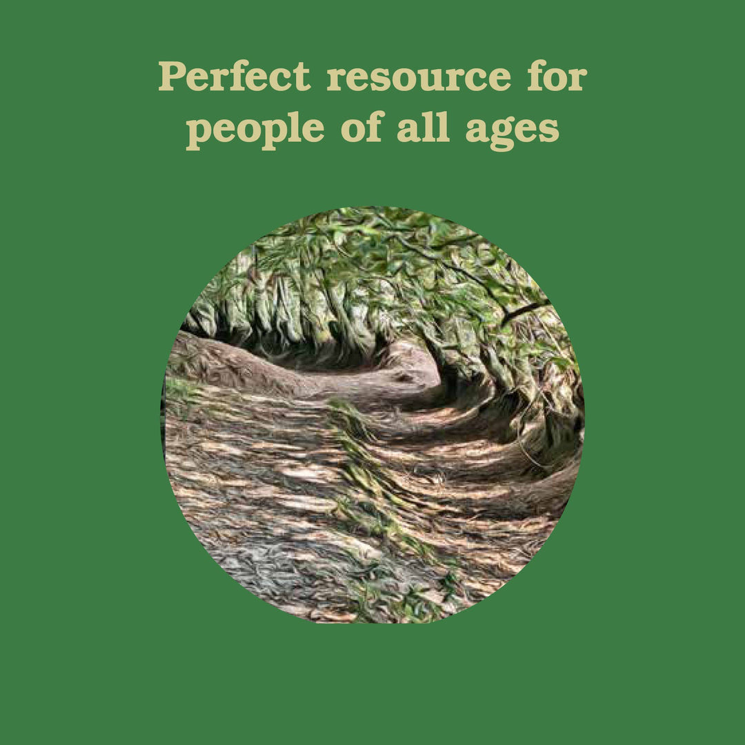 Chronicle Books - Forest School for Grown-Ups