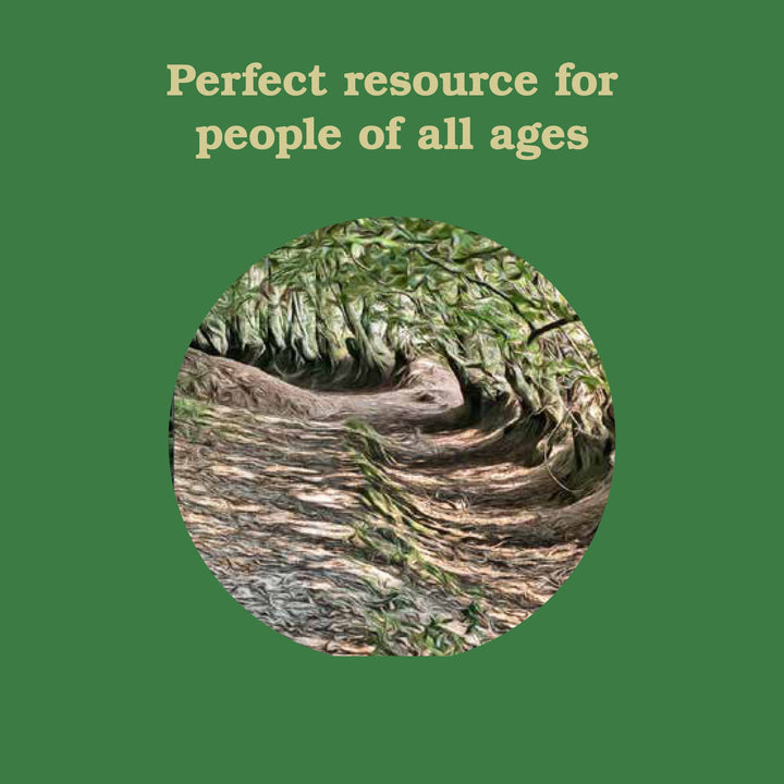 Chronicle Books - Forest School for Grown-Ups