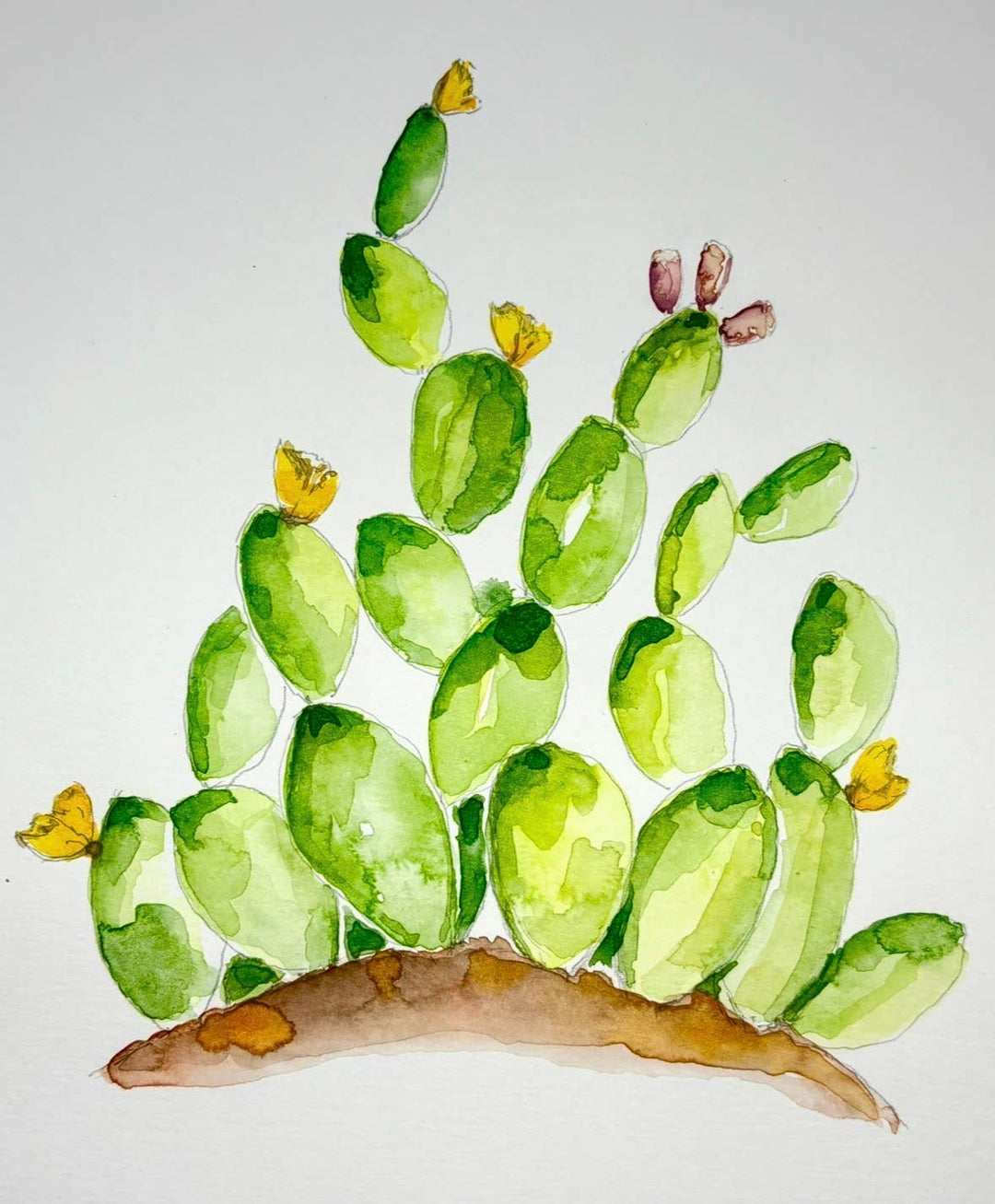 Kelly Murphy's Water and Color Studio - Texas Watercolor Workbook 