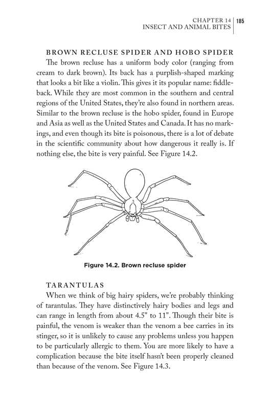 Simon & Schuster - Bushcraft First Aid by Dave Canterbury