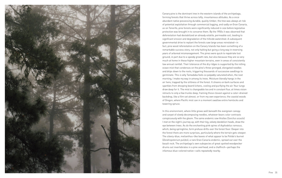 Chronicle Books - Forest