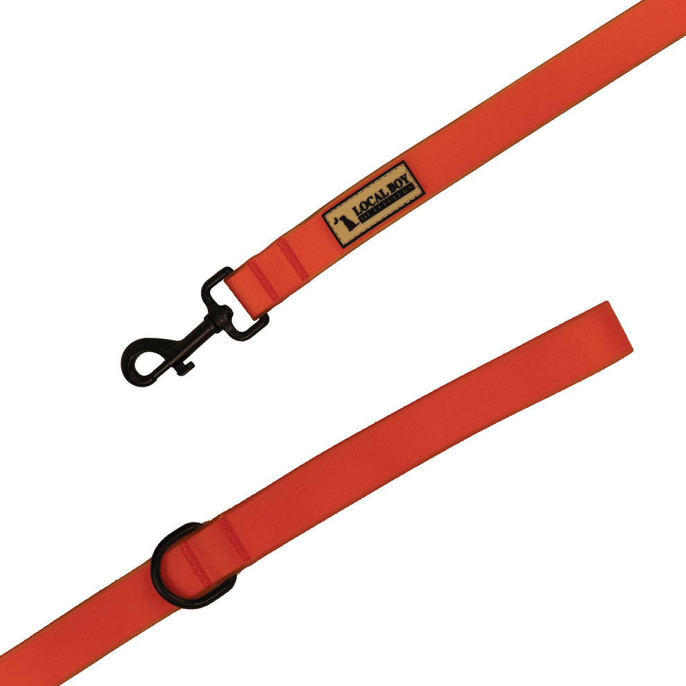 Dog Leash