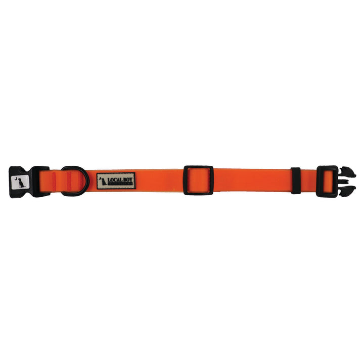Dog Collar
